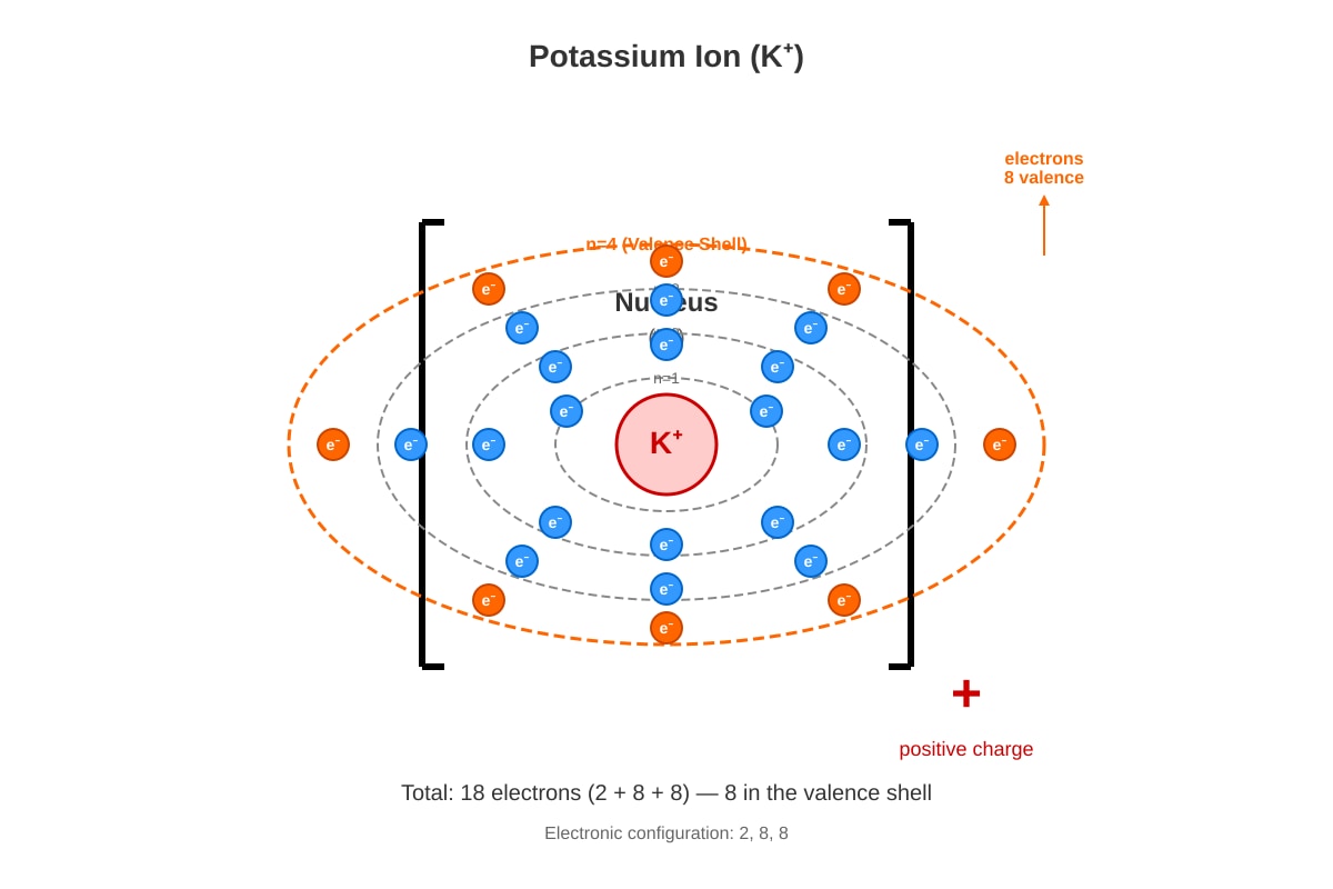 Diagram for placeholder 1 (SEC4 Pure Chemistry)