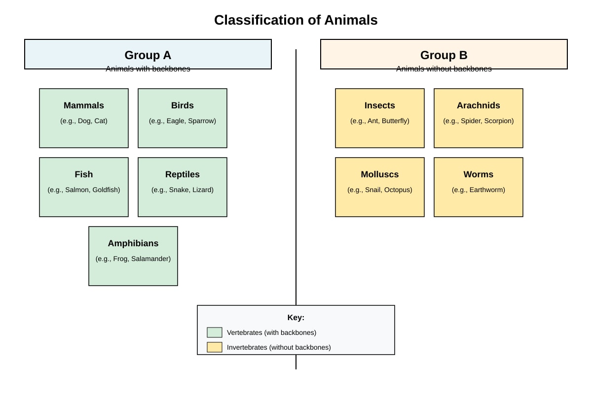 Diagram for Q29 (P6 Science)