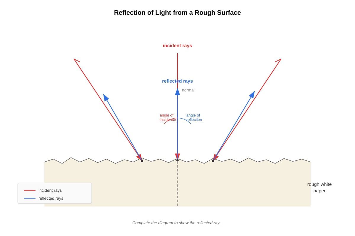 Diagram for placeholder 2 (SEC1 Science)