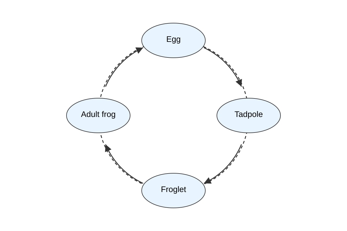 Diagram for Q19 (P6 Science)