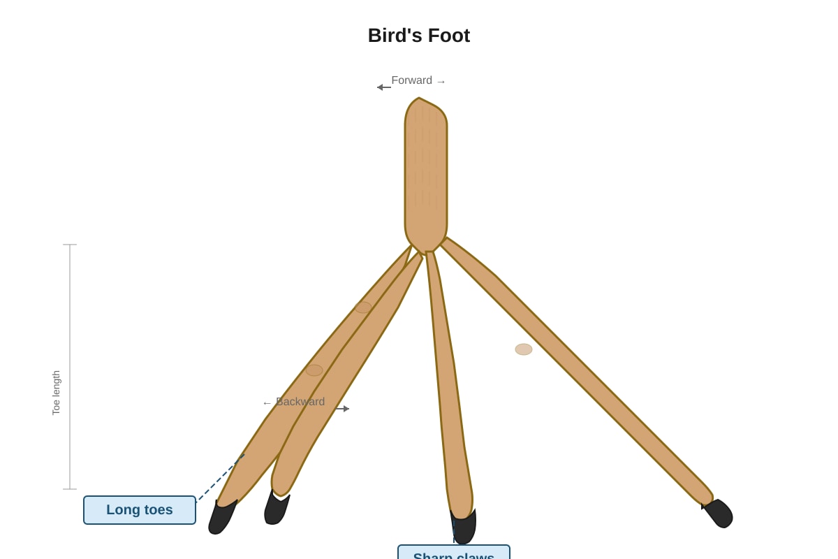 Diagram for Q3 (P5 Science)
