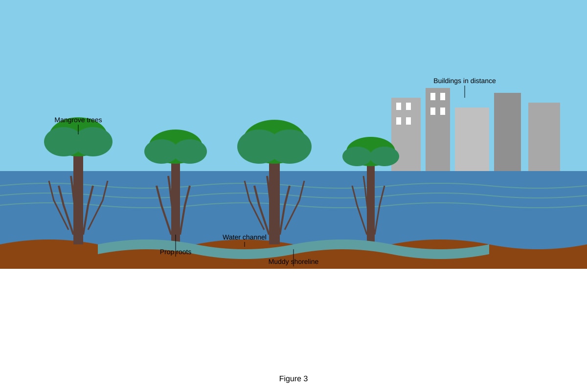 Photograph for Q15 (SEC1 Geography)