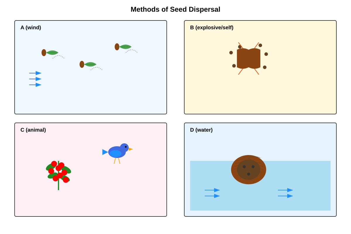 Diagram for Q18 (P4 Science)
