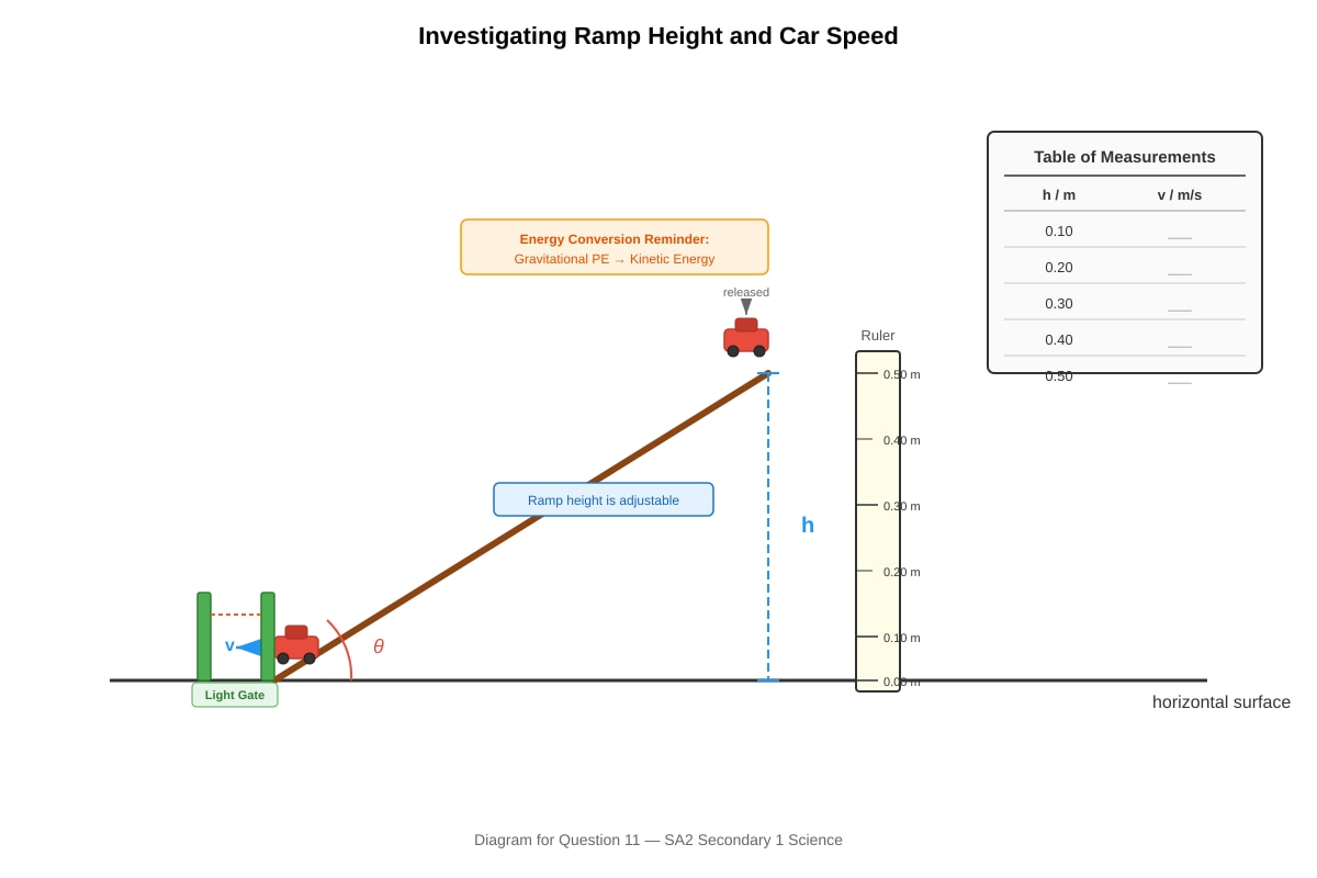 Diagram for Q11 (SEC1 Science)