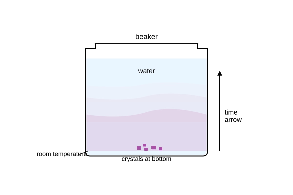 Experimental Setup for Q17 (SEC4 Combined Sci Bio)