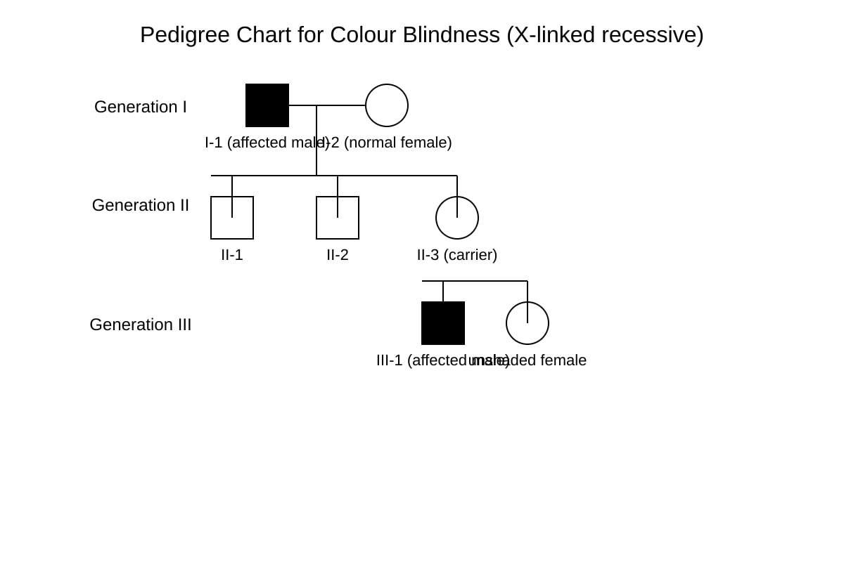 Diagram for Q11 (SEC4 Pure Biology)