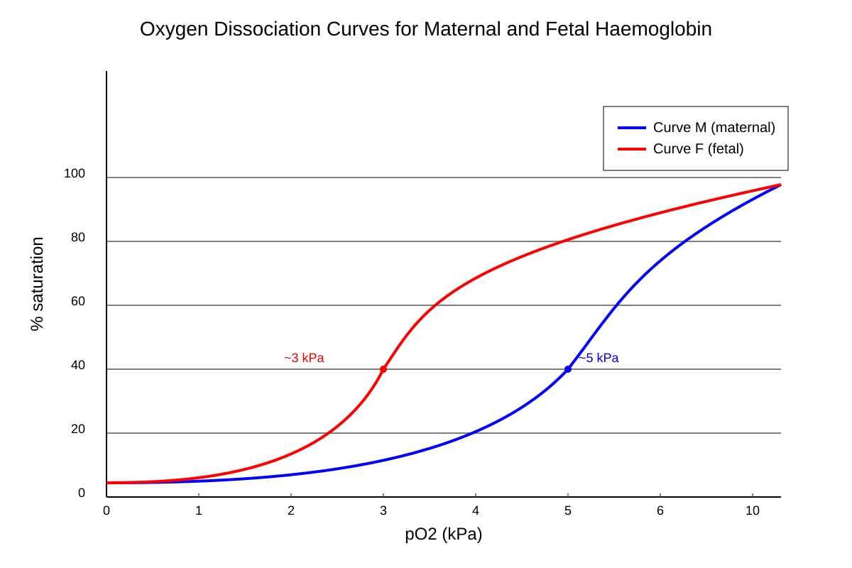 Graph for Q17 (OLEVEL Biology)