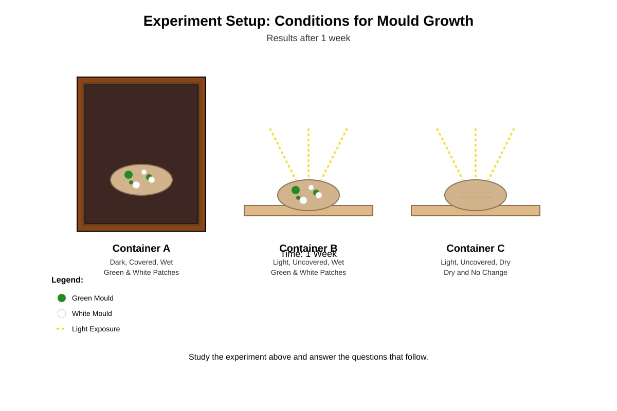 Experimental Setup for Q20 (P3 Science)