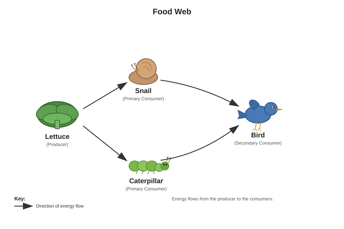 Diagram for placeholder 1 (P5 Science)