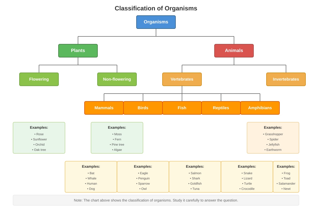 Chart for Q2 (P6 Science)