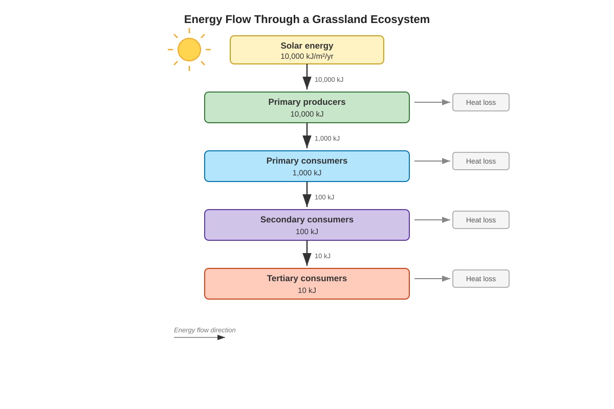 Diagram for Q3 (ALEVEL Biology H1)