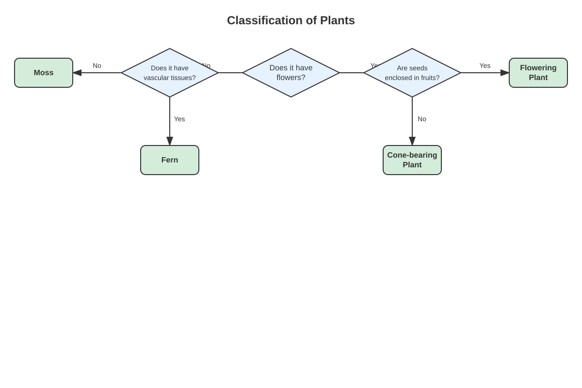 Diagram for Q7 (P6 Science)
