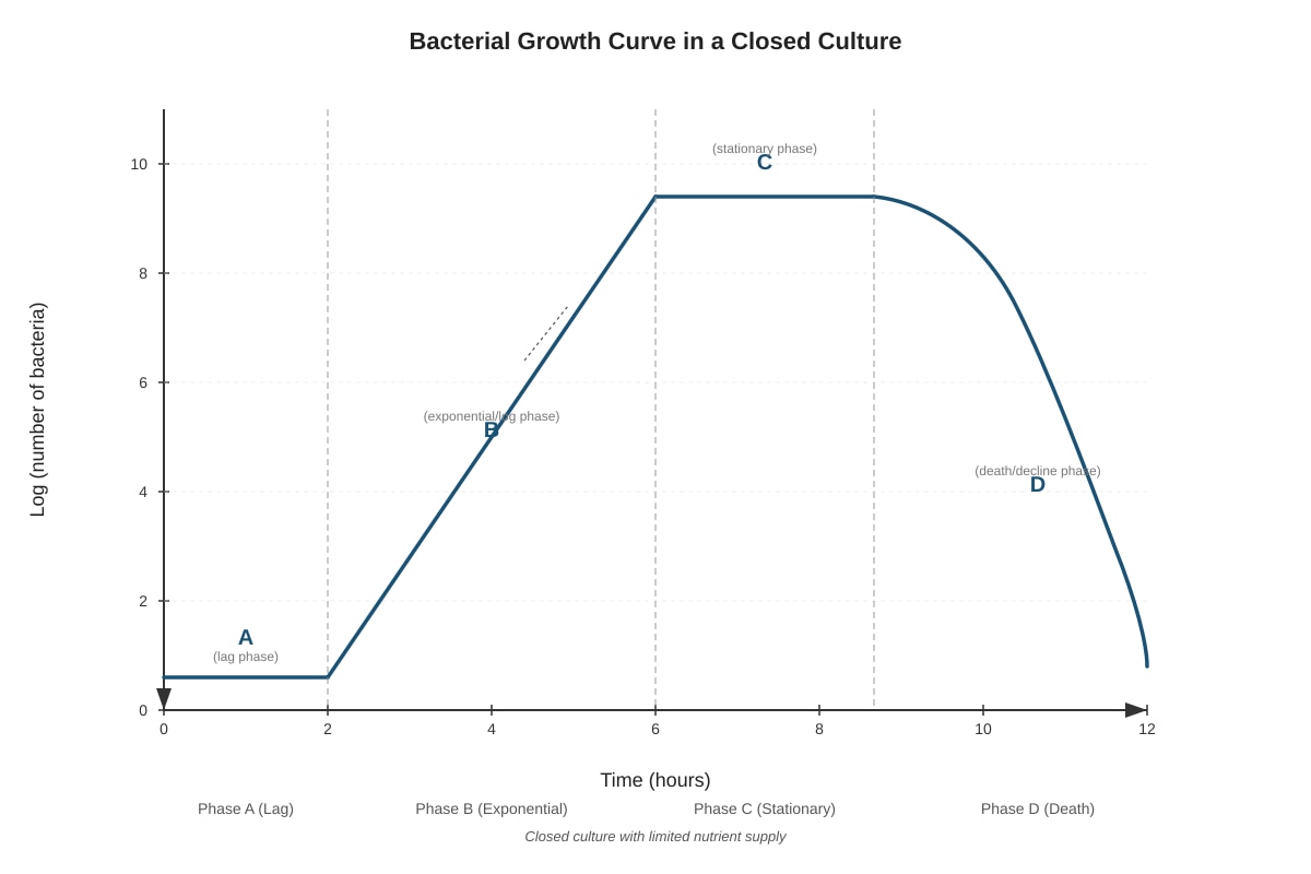 Graph for Q13 (ALEVEL Biology H1)