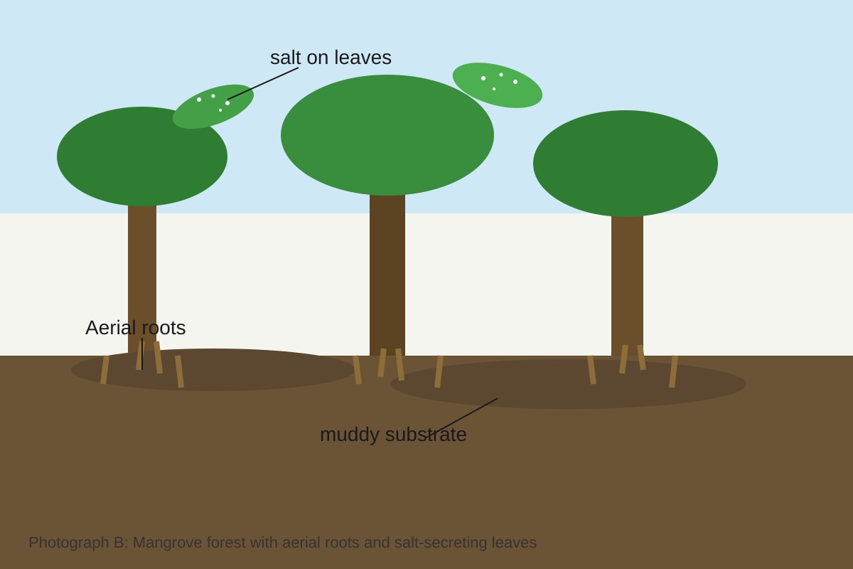 Source Image for Q6 (SEC2 Geography)