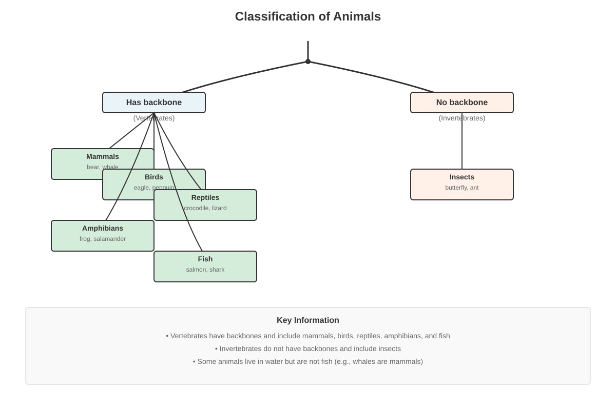 Diagram for Q18 (P3 Science)