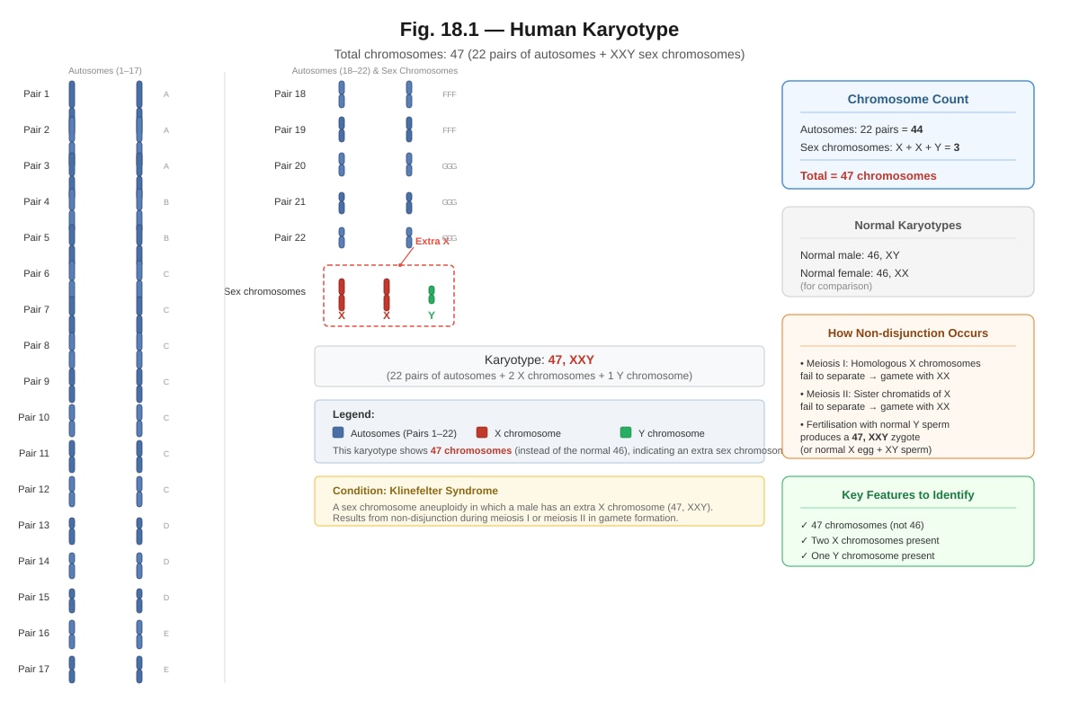 Diagram for placeholder 1 (SEC4 Pure Biology)