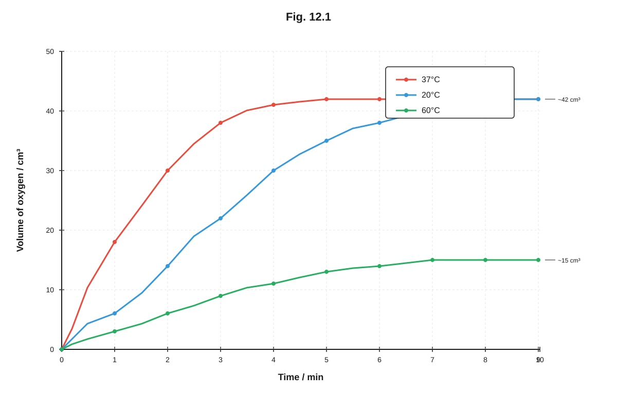 Graph for Q12 (ALEVEL Biology H1)