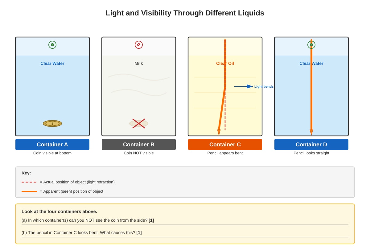 Diagram for Q14 (P4 Science)