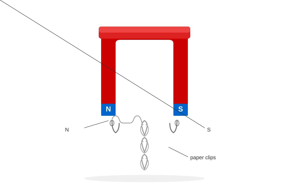 Diagram for Q13 (P3 Science)