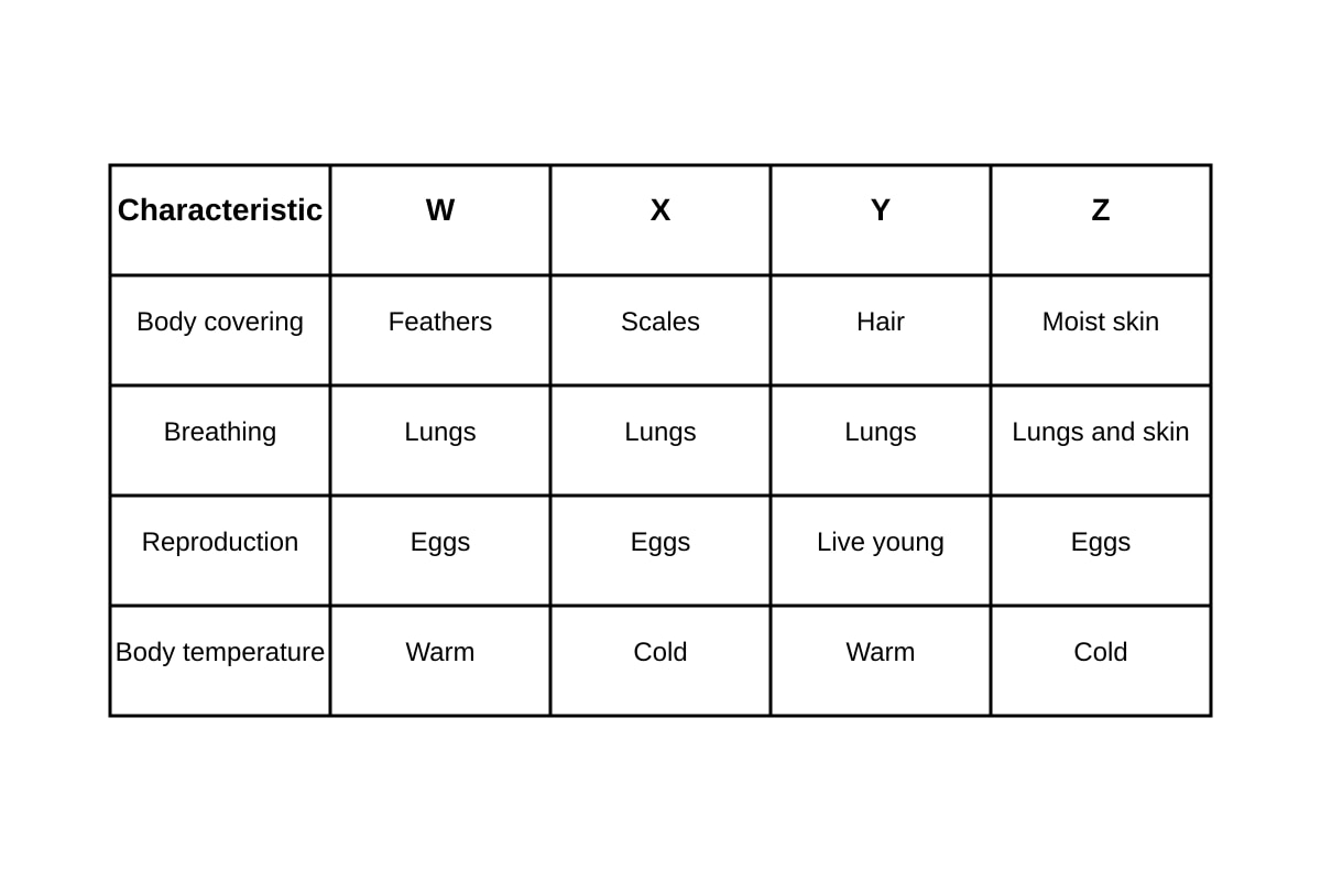 Table for Q28 (P6 Science)