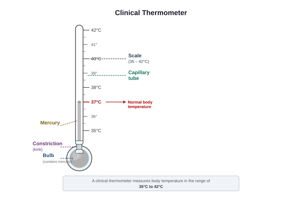 Diagram for Q38 (P4 Science)