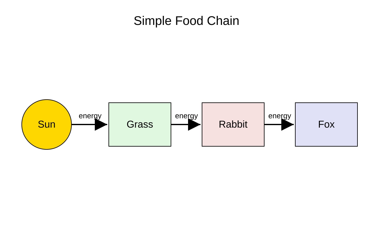 Diagram for Q17 (P6 Science)