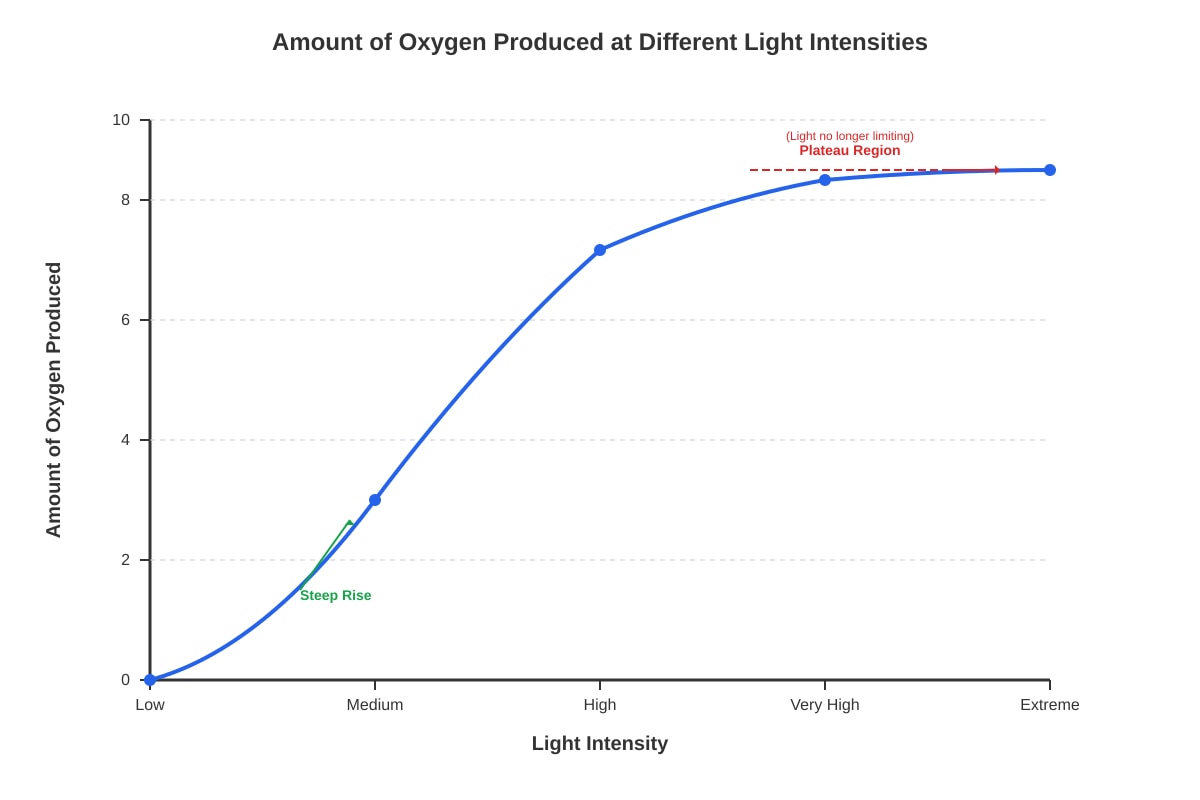 Graph for Q8 (P5 Science)