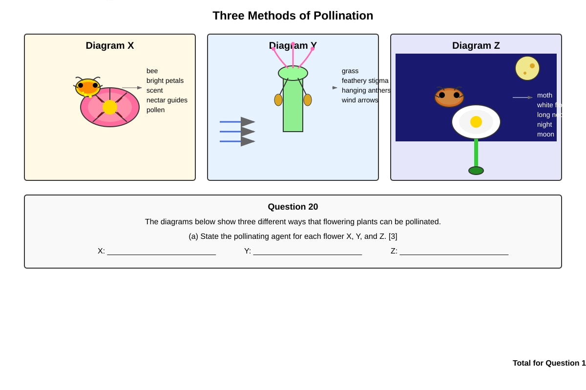 Diagram for Q20 (P5 Science)