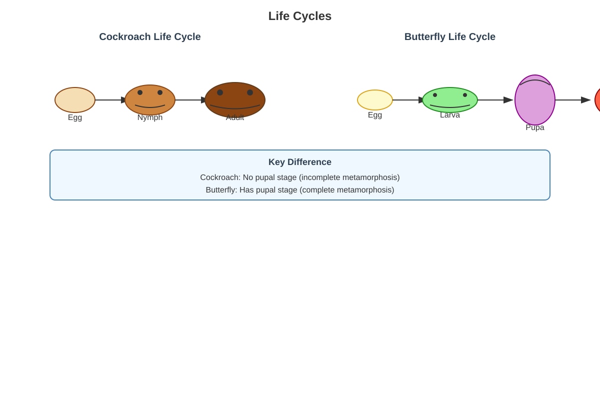Diagram for Q18 (P5 Science)