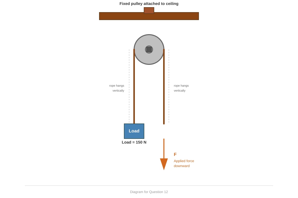Diagram for Q12 (SEC1 Science)