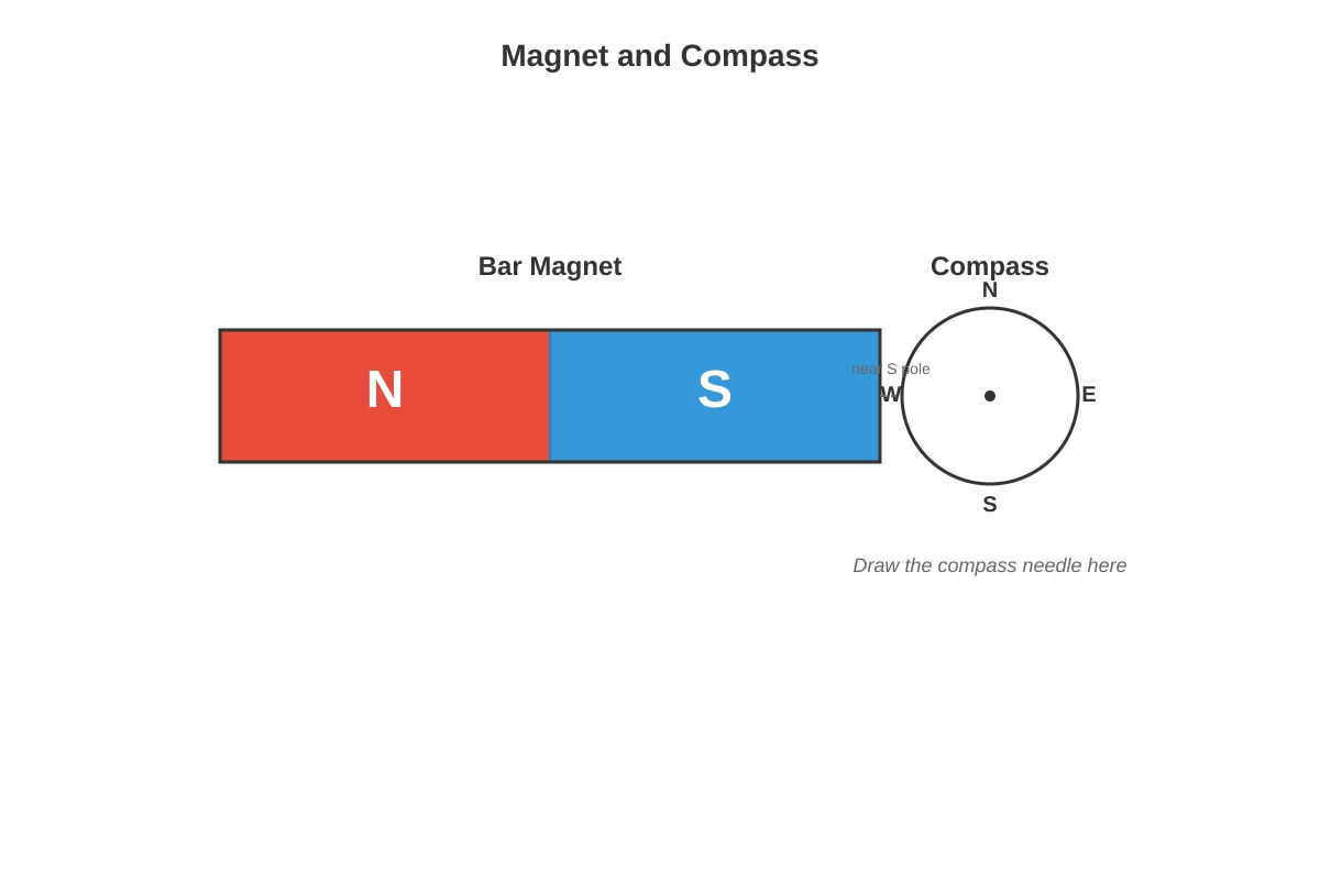 Diagram for Q20 (P4 Science)