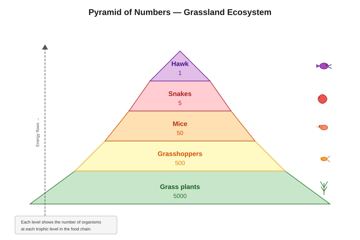 Diagram for Q36 (P6 Science)