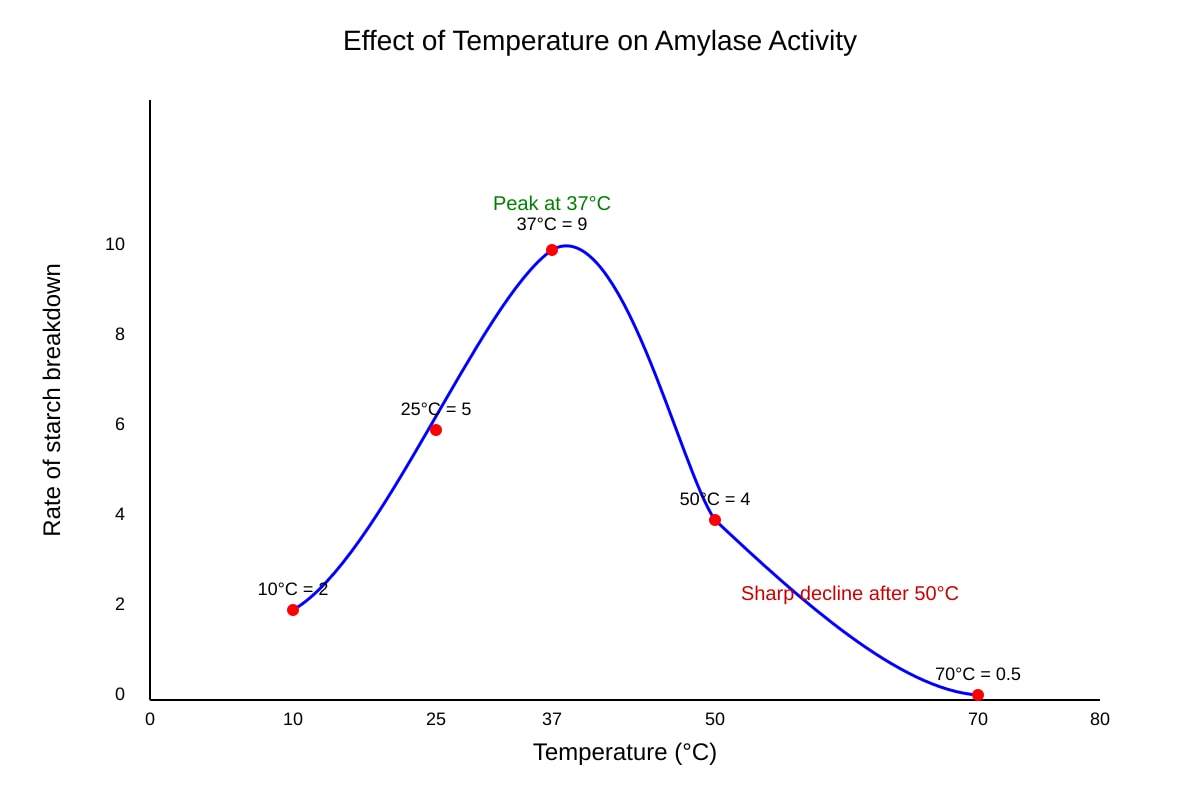 Graph for Q17 (SEC3 Biology)