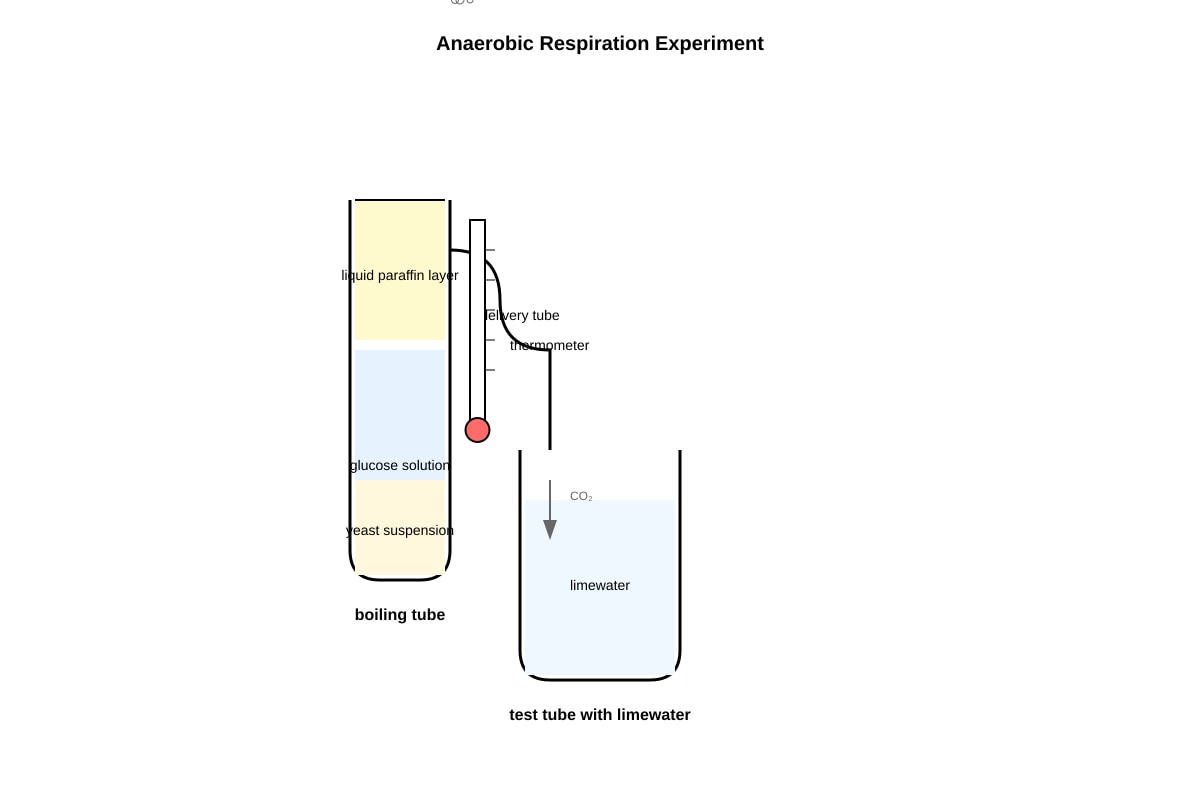 Experimental Setup for Q18 (SEC2 Science)