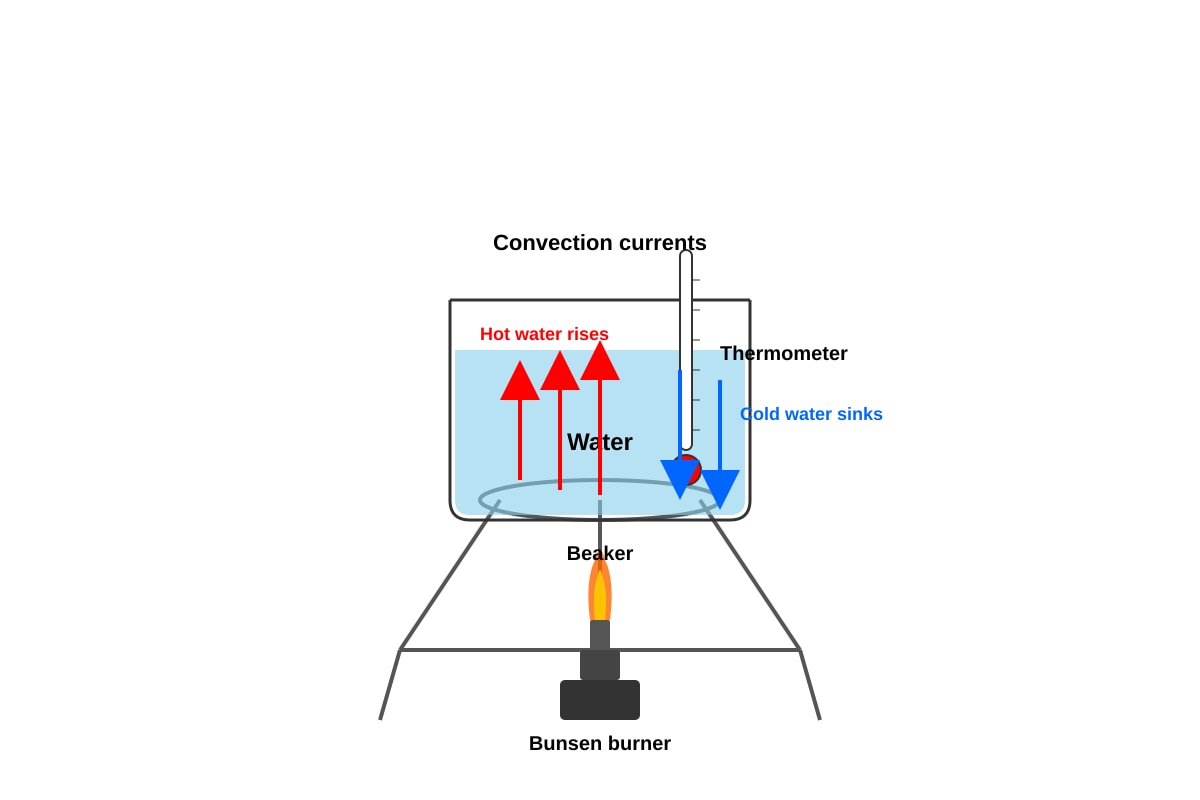 Diagram for Q47 (P6 Science)