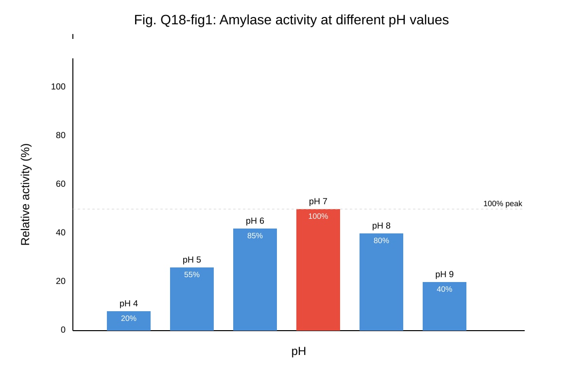 Graph for Q18 (ALEVEL Biology H2)
