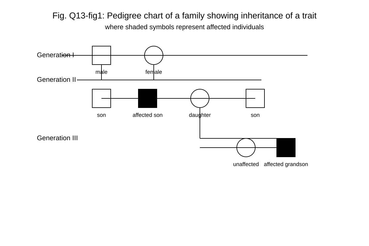Diagram for Q13 (SEC4 Pure Biology)