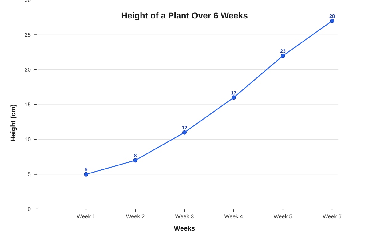 Graph for Q7 (P4 Maths)