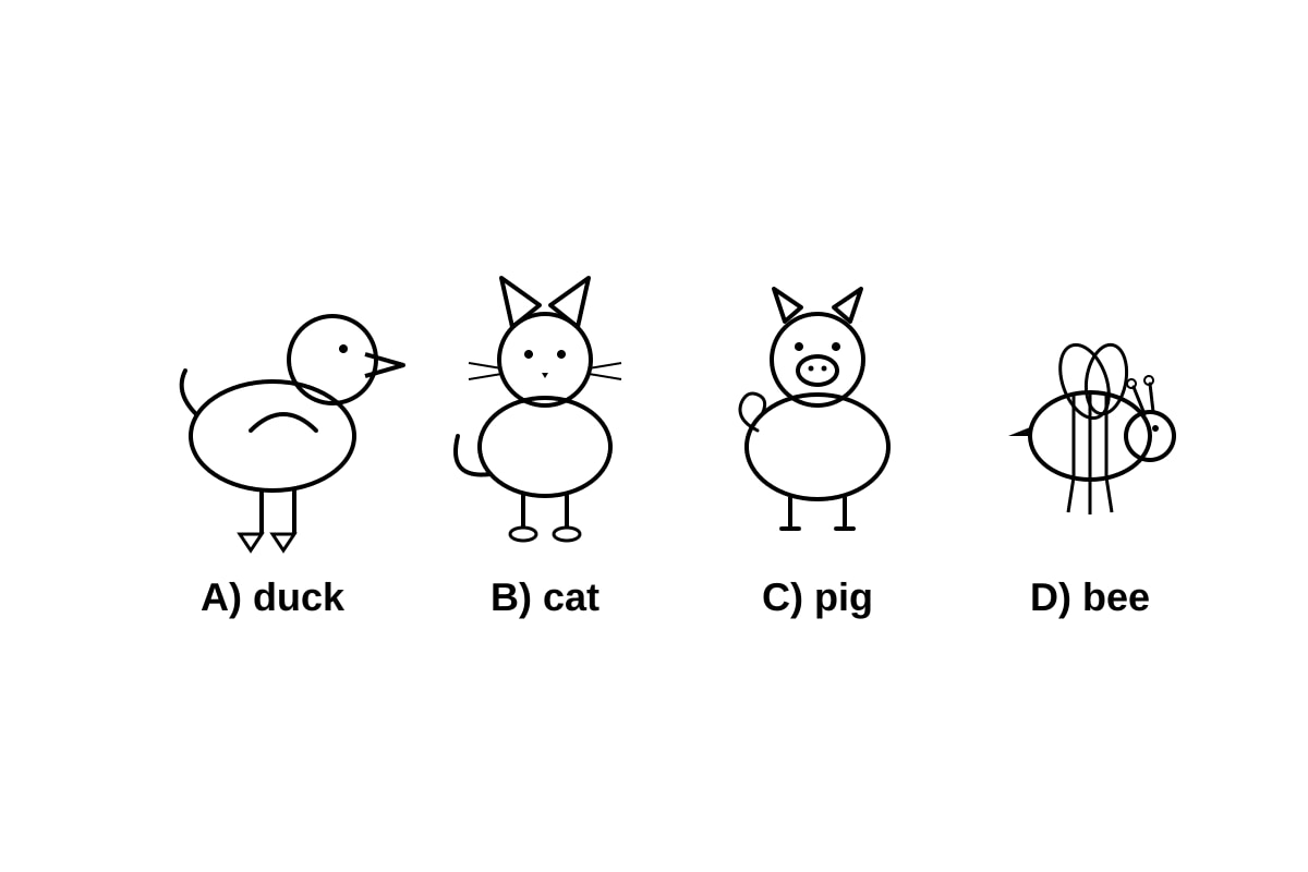 Figure for Q9 (P1 English)