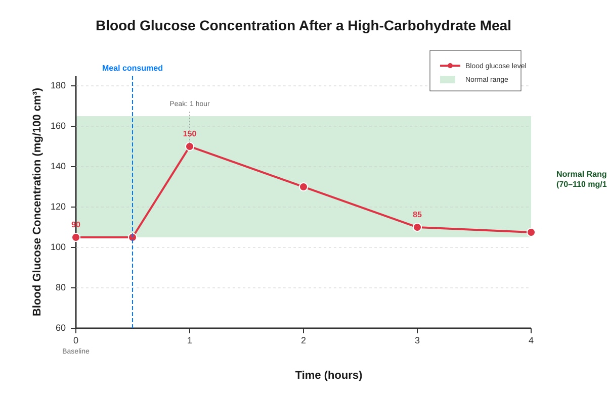 Graph for Q5 (SEC3 Biology)