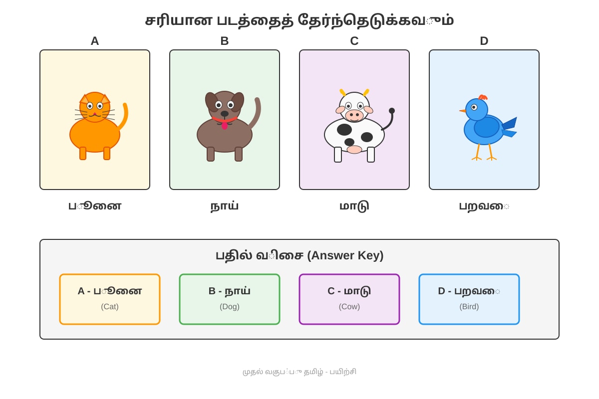 Figure for Q7 (P1 Tamil)