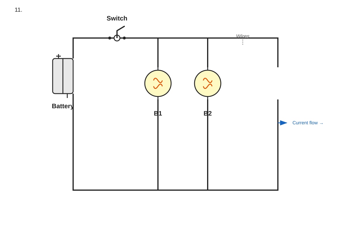 Diagram for Q11 (P6 Science)