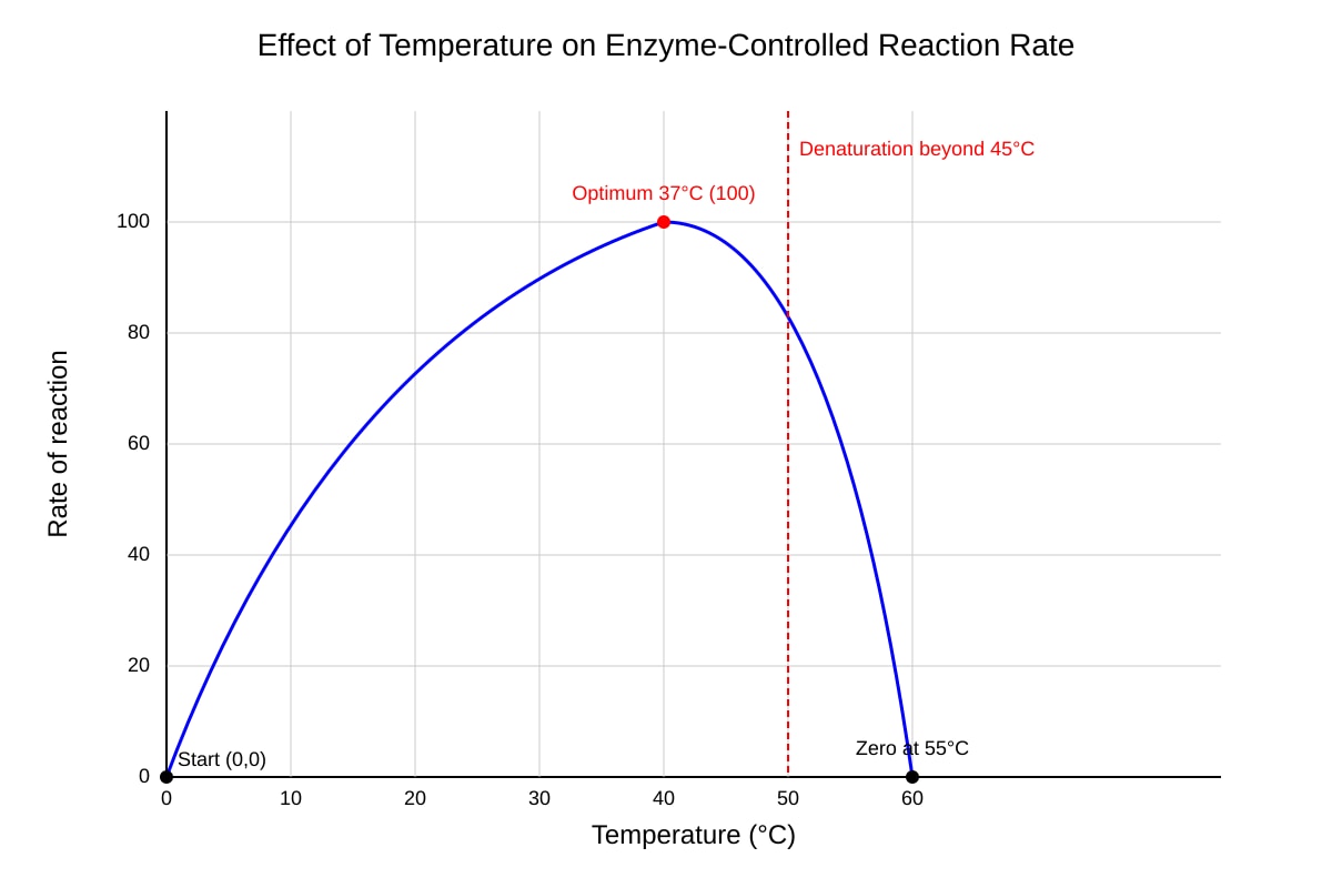 Graph for Q12 (OLEVEL Biology)