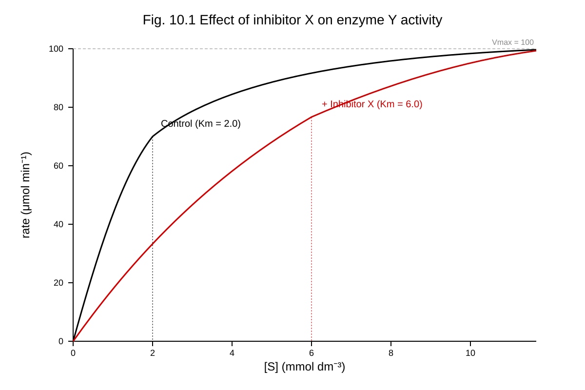 Graph for Q10 (ALEVEL Biology H2)