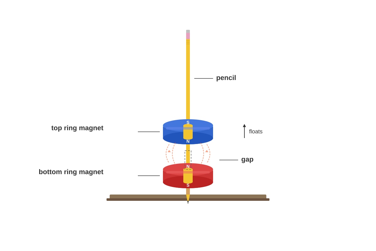 Diagram for Q20 (P4 Science)
