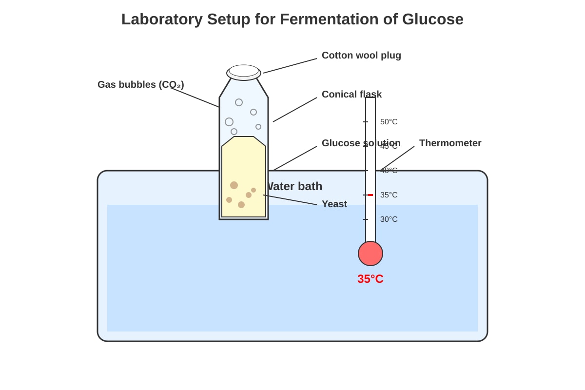Diagram for Q13 (SEC3 Chemistry)