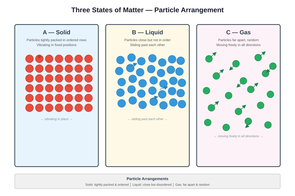 Diagram for Q14 (P4 Science)