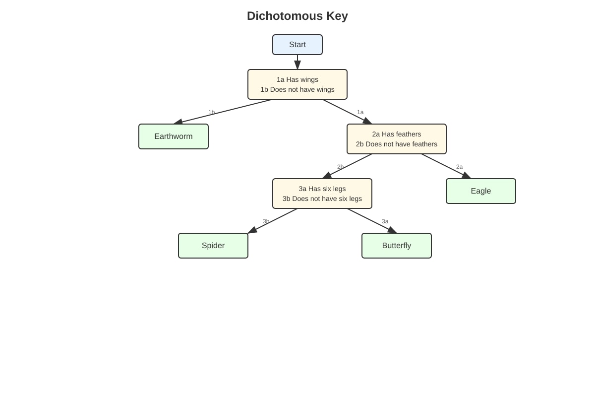 Diagram for Q7 (P6 Science)