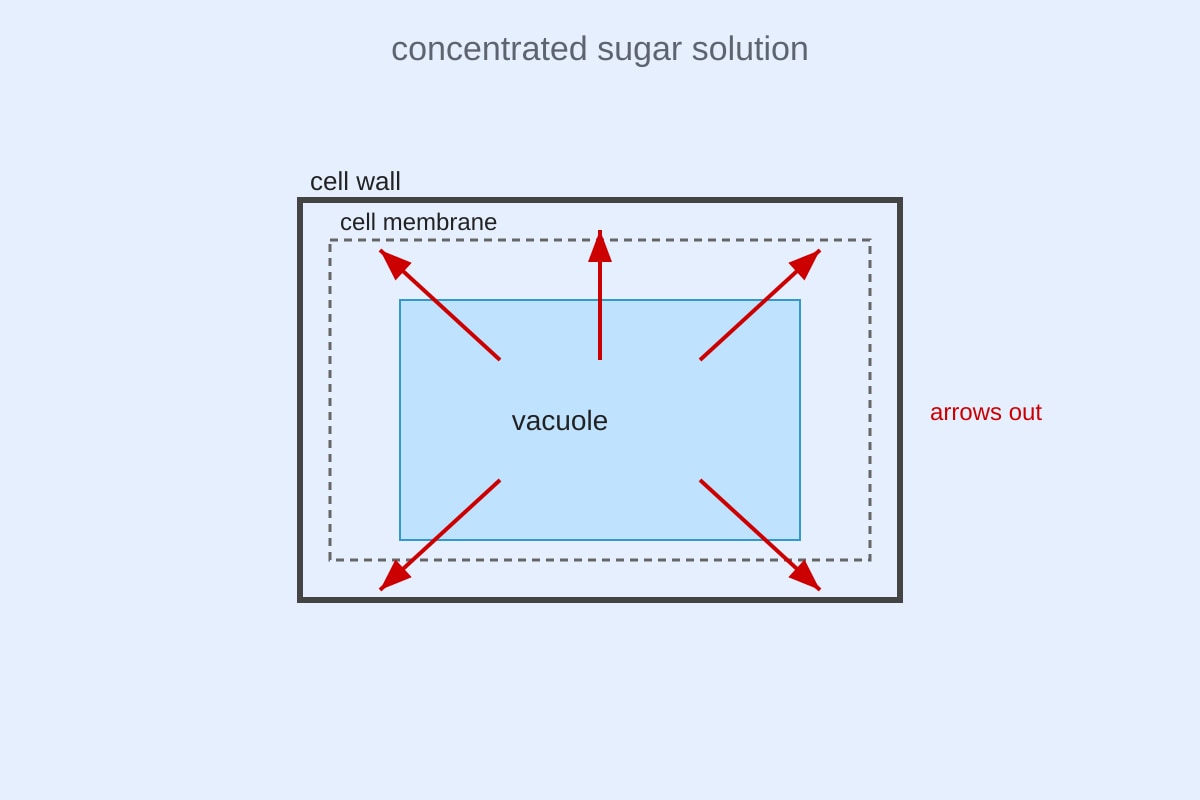 Diagram for Q12 (SEC4 Combined Sci Bio)