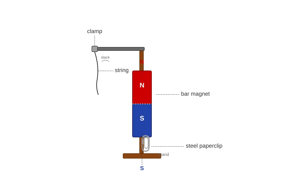 Diagram for Q11 (P6 Science)